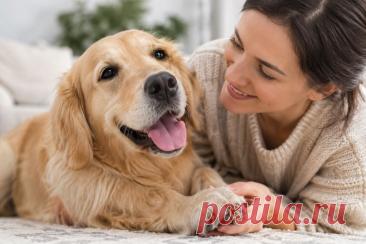 🐶 Собака постоянно лижет и грызёт лапы? Между пальцами появляется покраснение, неприятный запах или раздражение?

Причиной может быть малассезиозный дерматит — но не всегда всё сводится к «грибку». 🔬 Часто избыточный рост Malassezia становится следствием аллергии, нарушения кожного барьера или другого заболевания.

Разбираем симптомы, причины, диагностику, лечение и уход за лапами без опасных домашних экспериментов. 🐾❤️

#Собаки#ЗдоровьеСобак#Ветеринария
Изображение от ChatGPT