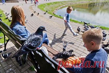 Минтруд запретил лишать детских пособий из-за выигрыша в лотерею. Минтруд России заявил, что выигрыш в лотерею или на тотализаторе не является поводом для лишения детских пособий. «Сам факт выигрыша не является основанием для лишения пособия», — указали в министерстве. Подчеркивается, что эти деньги будут учитываться при оценке доходов и нуждаемости семьи.
