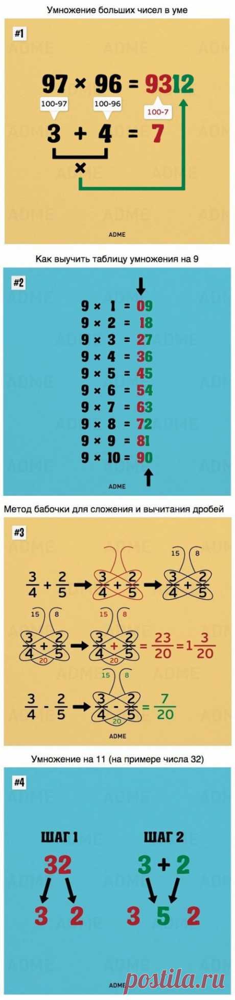 Такому в школе нас не учили. А жаль!
