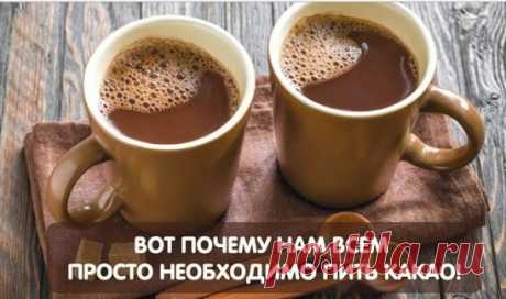 НЕВЕРОЯТНЫЕ ФАКТЫ О КАКАО. И ПОЧЕМУ ОНО ОСОБЕННО ПОЛЕЗНО ПОСЛЕ 40 ЛЕТ 
Этот вкусный напиток заряжает энергией и способен защитить от вирусов и инфекций. 
Чашка какао с утра улучшит настроение и повысит жизненный тонус. Он содержит вещества, которые улучшают память и стимулируют работу головного мозга, а также нормализуют в крови уровень холестерина. 
Какао признан лидером по содержанию многих полезных микроэлементов, а по количеству содержащегося в нем цинка ему вообще нет равных! 
Какао-боб