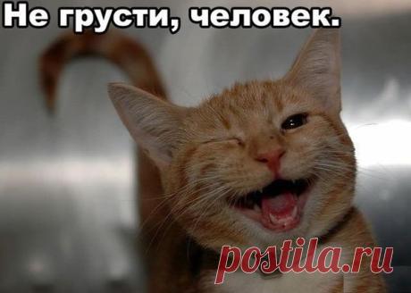 Здоровье и бизнес: Юмор