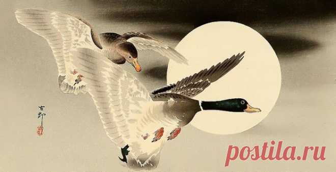 Японский художник Ohara Koson