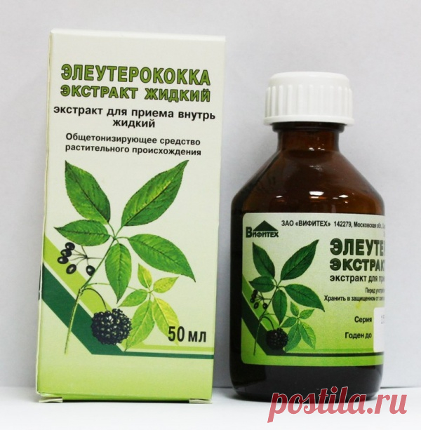 Не болеем, тонизируемся, молодеем - все с помощью элеутерококка!