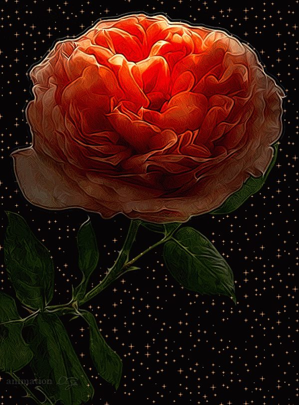 12836193.gif (599×811)