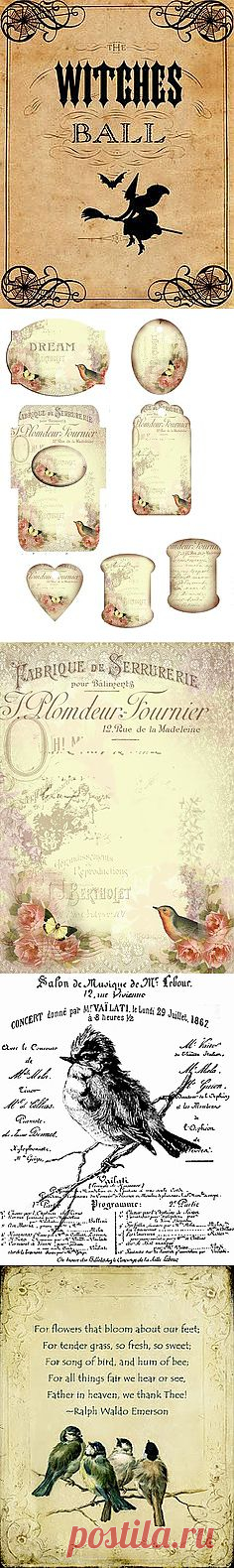 french bird | pinning printables
