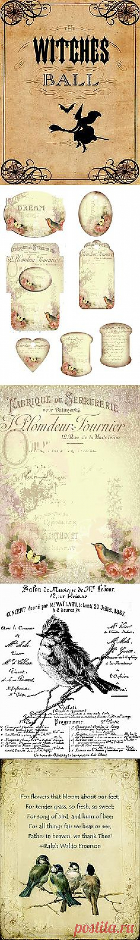 french bird | pinning printables