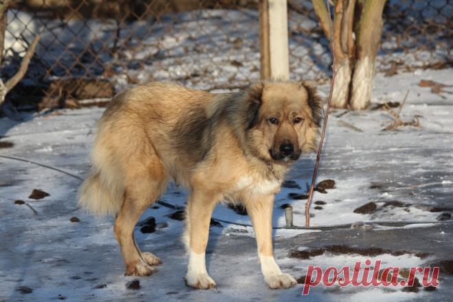 мама Люська