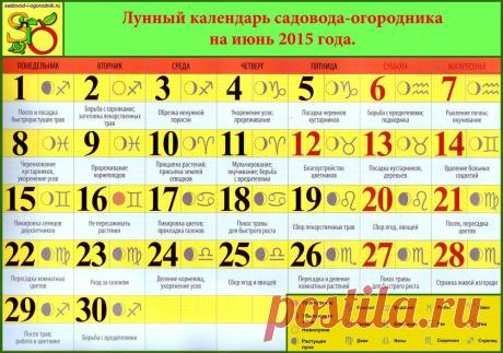 Лунный календарь садовода-огородника на июнь 2015 года. | Подружки