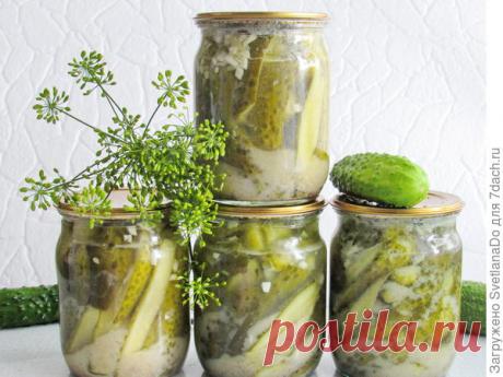 Огурчики в горчичном маринаде. Мой способ заготовки некондиционных огурцов