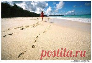 Что посеешь, то и пожнешь! Или законы кармической справедливости…