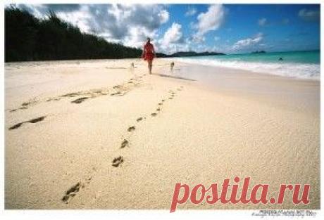 Что посеешь, то и пожнешь! Или законы кармической справедливости…