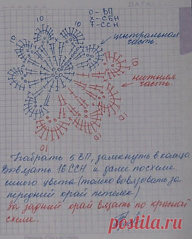 (254) Pinterest