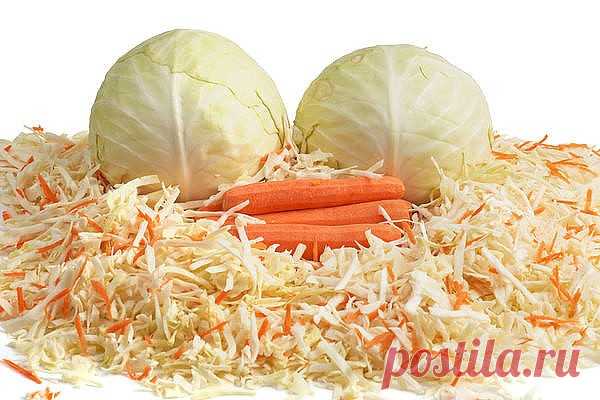 СОЛИМ КАПУСТУ НА ЗИМУ