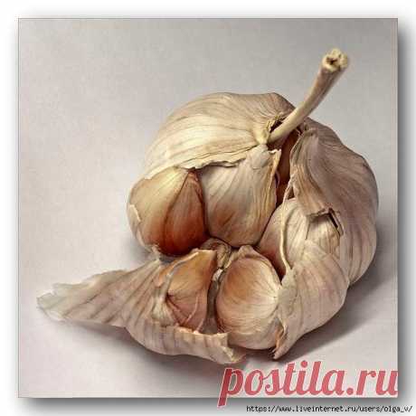 Картинки для творчества.