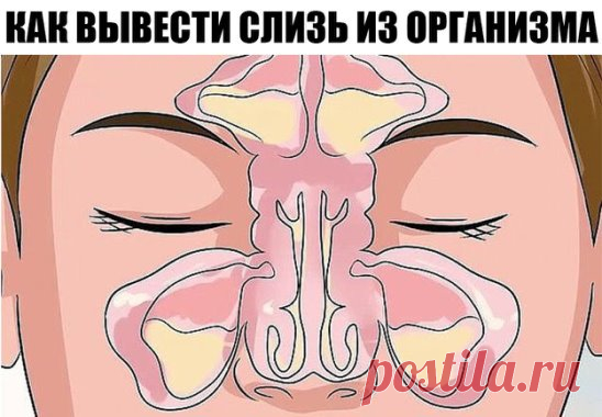 КАК ВЫВЕСТИ СЛИЗЬ ИЗ ОРГАНИЗМА И СТАТЬ ЗДОРОВЕЕ НА 10 ЛЕТ. Т
Избыточное образование слизи в организме — причина многих заболеваний и воспалительных процессов. Когда мы съедаем вареную, обработанную пищу, образуется слизь. С годами она накапливается, и если тело не справляется со своевременным очищением, слизь начинает заполнять все полости нашего тела. В первую очередь страдают легкие, бронхи, желудок. Когда её собирается много, слизь поднимается наверх и выходит через нос.
 
Частые простудные