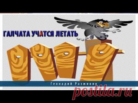 Галчата учатся летать - YouTube
