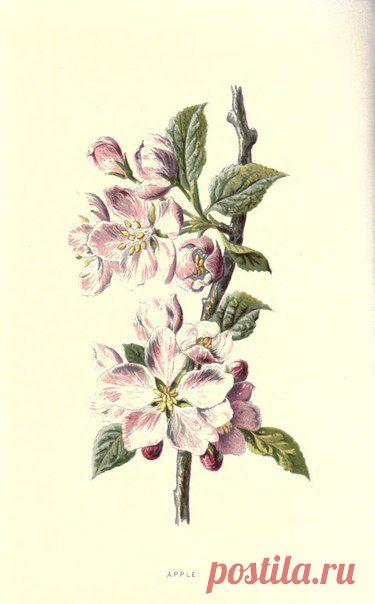 ~ MON PLAISIR ~ Вещи для души. Винтаж,Прованс.