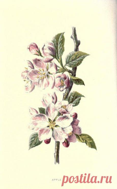 ~ MON PLAISIR ~ Вещи для души. Винтаж,Прованс.