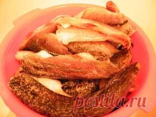 ПОПОЛНЯЮ ЗАКОРМА! КОНСЕРВА РЫБНАЯ (домашняя)