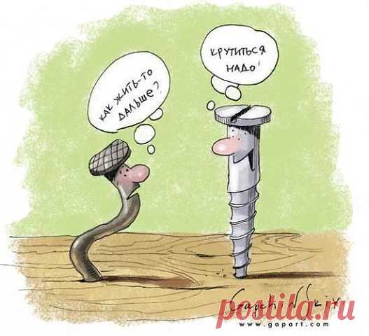 Нина Латушко (Тимашкова)
52 года, Беларусь, Минск