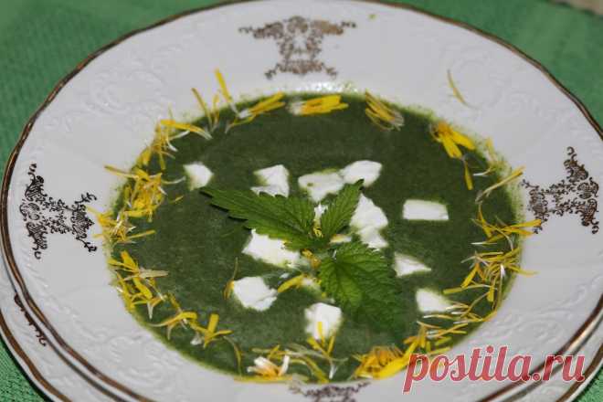 Среди рецептов немецких травниц, фитотерапевтов и других экспертов - одуванчиковые каперсы, крапивные клецки и даже брынза с лиственницей!