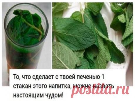 То, что сделает с твоей печенью 1 стакан этого напитка, можно назвать настоящим чудом!
Если печень перегружена или плохо работает, мы сразу же это чувствуем. Слабость, нехватка энергии, головокружение, тошнота, боль в правом подреберье, проблемы с пищеварением и кожная сыпь — всё это признаки того, что с печенью непорядок.
Очищение печени в домашних условиях возможно благодаря простому рецепту мятно-лимонного напитка! Абсолютно безопасное средство, которое тут же улучшает состояние организма,