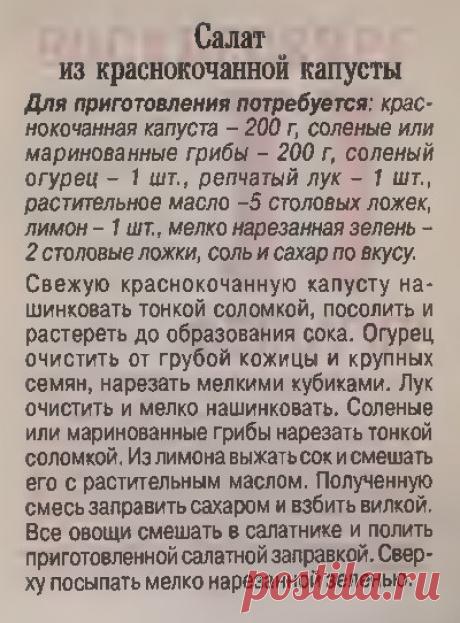 Салат из краснокочанной капусты