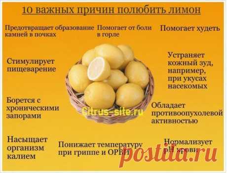 Мой Мир@Mail.Ru