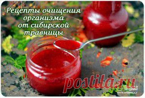 Рецепты очищения организма от А. М. Корепановой