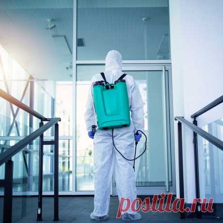 🪰 Профессиональные услуги городской санитарной службы под ключ
🧐 Большой опыт 🤩 Индивидуальный подход 💖 Приятные цены
🌍 Работаем круглосуточно, в 30 городах России 📞 +7(804)700-09-30