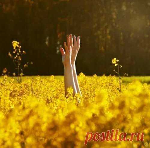 Ապրիր, ինչպես կուզես, միայն ոչ իզուր։

Ամեն բացվող օր իր հետ նոր հրաշք է բերում` ստիպելով մեզ շարունակ շնչել, երազել ու արևի տակ քայլել…💛
Պաուլու Կոելյու«Աքրայում գտնված ձեռագիրը»

Մարդու հոգու վրա ամենից ավելի ազդում է մենակությունը: Ստեֆան Ցվայգ
Ոչ ոք այն աստիճան խենթ չէ, որ չգտնի մի այլ խենթի, որը կհասկանա իրեն: Ֆրիդրիխ Նիցշե