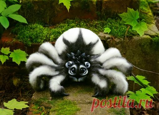 Черный паук