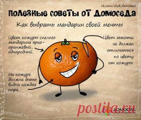 Полезные советы в картинках | Подружки