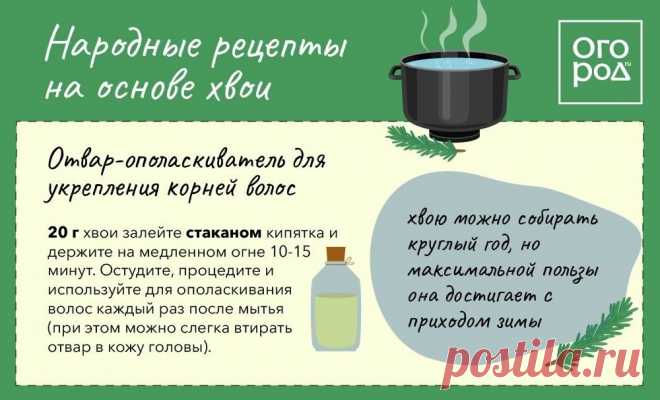 Отвар-опаласкиватель для укрепления корней волос