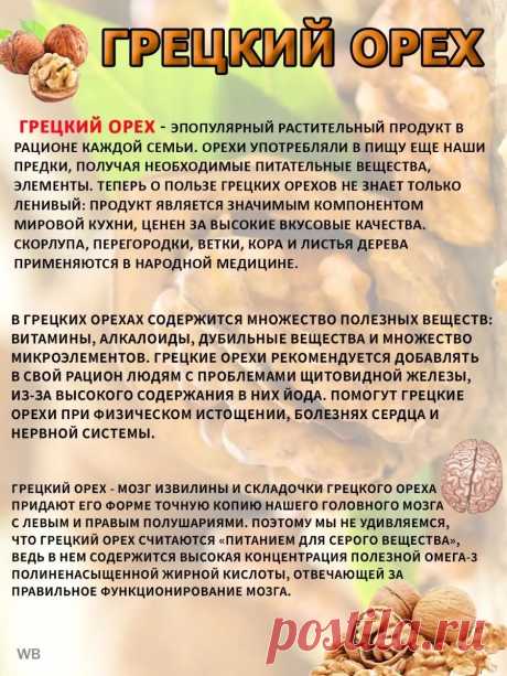 Грецкий орех польза