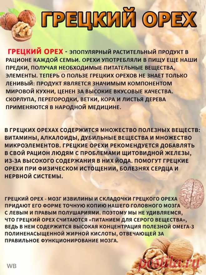 Грецкий орех польза