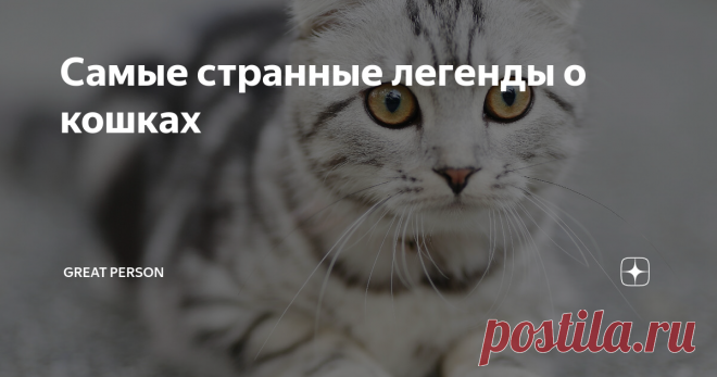 Самые странные легенды о кошках