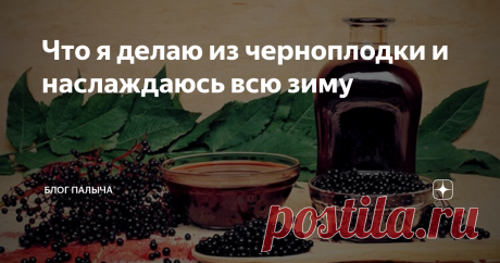 Что я делаю из черноплодки и наслаждаюсь всю зиму В черноплодной рябине содержится огромное количество витаминов, йода. Они положительно влияют на здоровье человека, поддерживают иммунитет. Также черноплодка способна оказать помощь людям, которые страдают от проблем с повышенным давлением. Говорить о целебных свойствах данного кустарника можно до бесконечности. В сегодняшней статье будет рецепт сока...