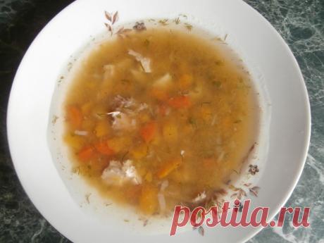 Диетический суп с курицей и тыквой (или кабачками) | Блог Лены Радовой