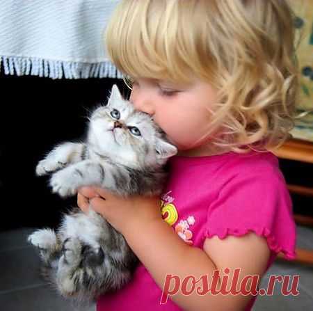 Фотографии детенышей животных.