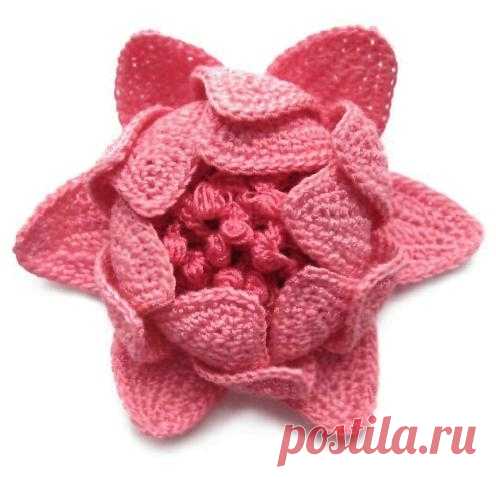 шикарные бабочки, цветы и стрекоза крючком