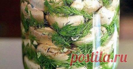 Малосольные шампиньоны на скорую руку — мировой рецептик Хотите порадовать и удивить гостей чем-то необычным и вкусным! Вы готовили малосольные шампиньоны? Нет?! Рецепт просто сногсшибательный! Все наши гости говорят, что магазинные маринованные шампиньоны …