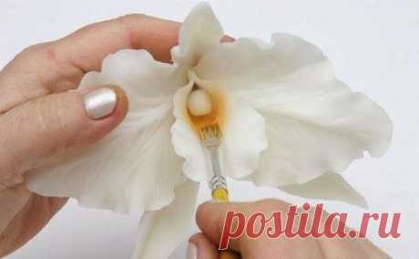 СП Фоамиран (пластичная замша) для рукоделия. • Запорожский женский форум