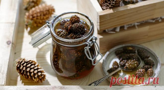 Варенье из сосновых шишек, пошаговый рецепт с фото на 302 ккал Варенье из сосновых шишек. Вкусный рецепт приготовления с пошаговым описанием, фото и отзывами. Удобный поиск рецептов и кулинарное вдохновение на Gastronom.ru