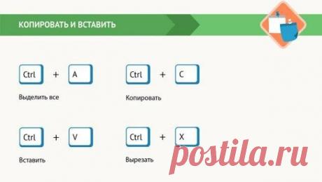 В современном мире эти знания нужны всем