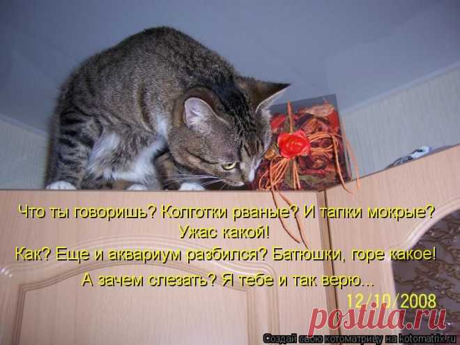 Котоматрица: Лучшие за июль 2012