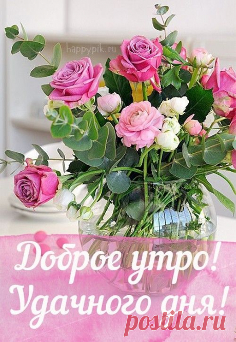 (904) Pinterest