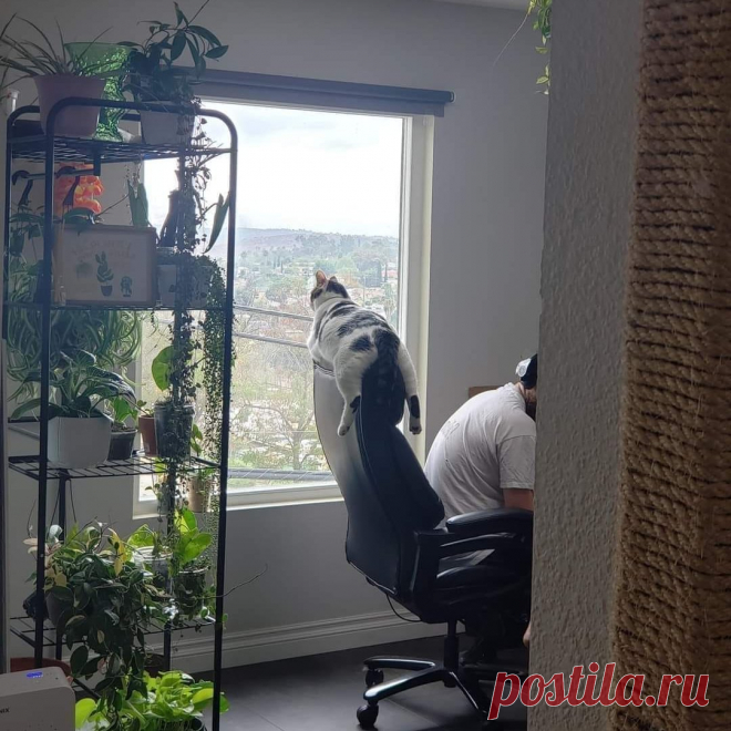 Home / Twitter