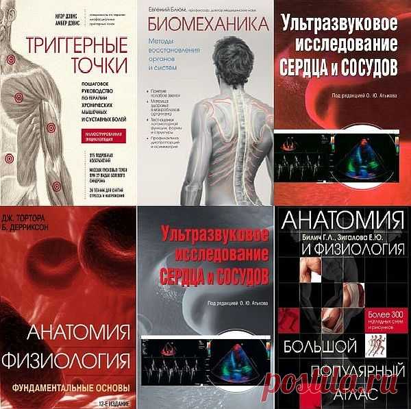 Медицинский атлас в 22 книгах (2009-2024) PDF, DJVU, FB2 Годами поколения студентов убеждали нас, что читатель лучше вникает в суть анатомии и физиологии, когда осознает связь между структурой и функцией, которую она выполняет. Принципы комплексного изучения анатомии и физиологии, актуальное освещение спорных аспектов медицины, качественные иллюстрации и