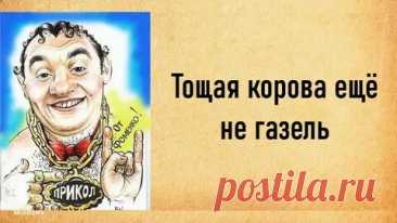 Худая корова, еще не газель: смотрите и скачивайте изображения — Яндекс Картинки